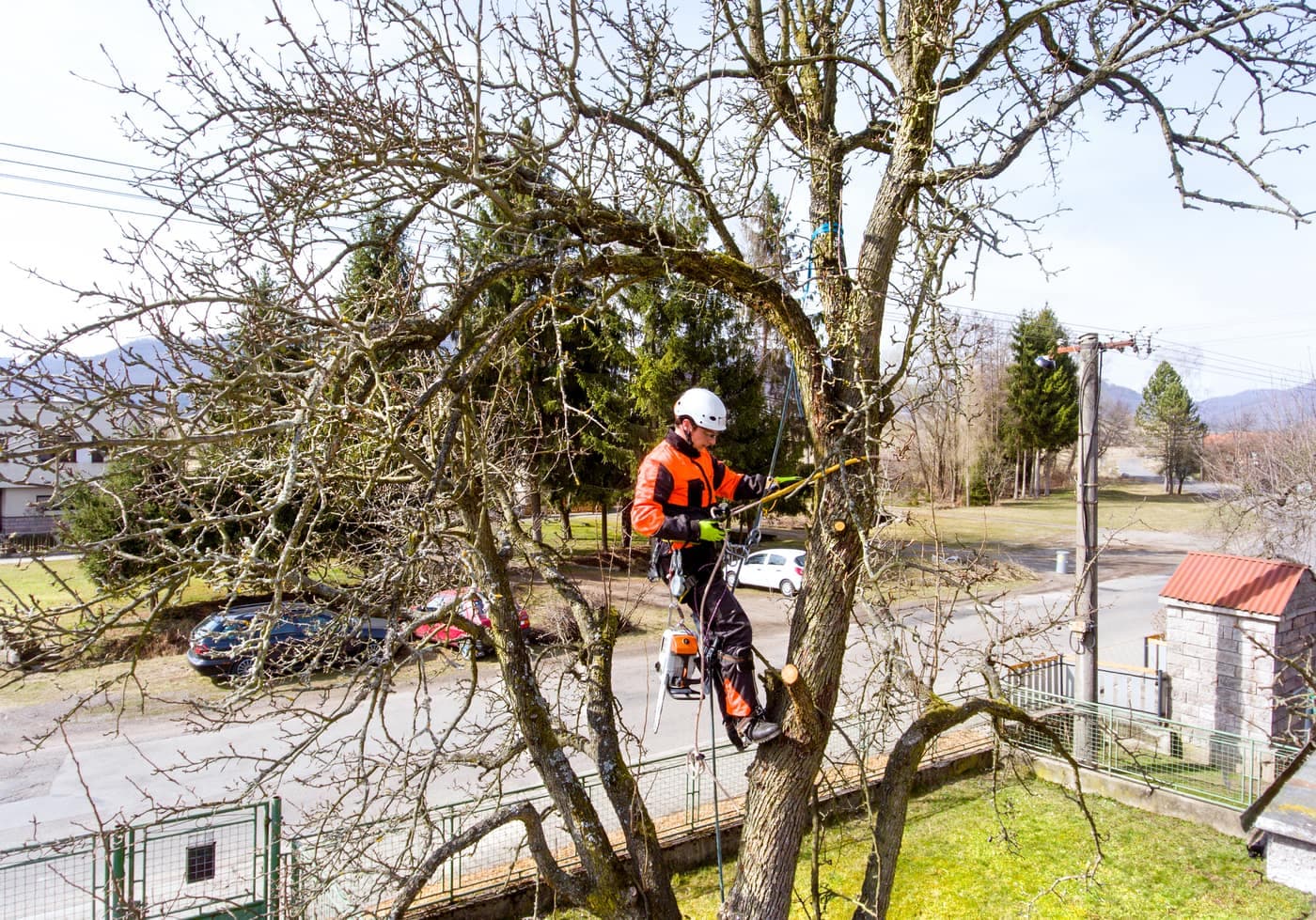 photo chantier — arboriculture