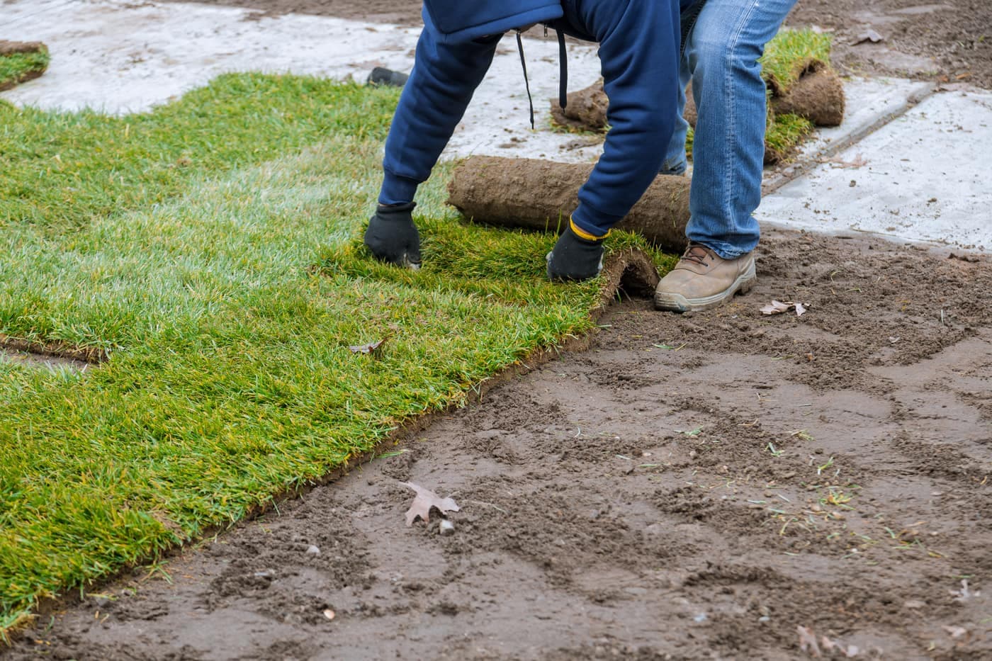 photo chantier — paysagement